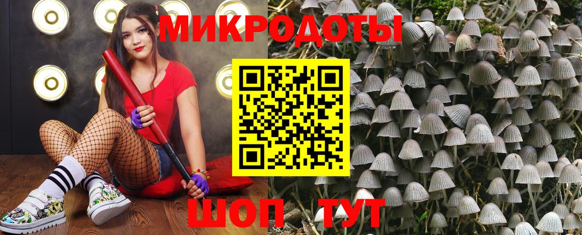 Псилоцибиновые грибы GOLDEN TEACHER  Вход с VPN  Луга 