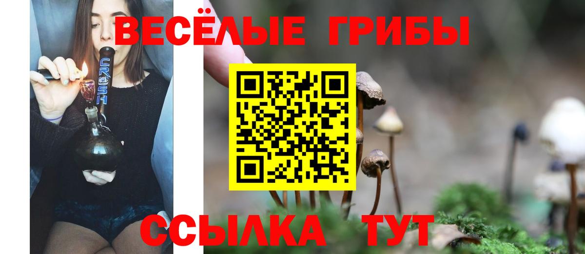 Галлюциногенные грибы Cubensis Луга